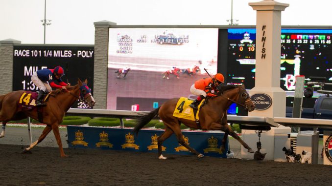 Jockey Justin Stein leads Strait of Dover over the finish line ahead of Irish Mission to capture the 153rd Queen's Plate at Woodbine Racetrack on Sunday (JP Dhanoa)